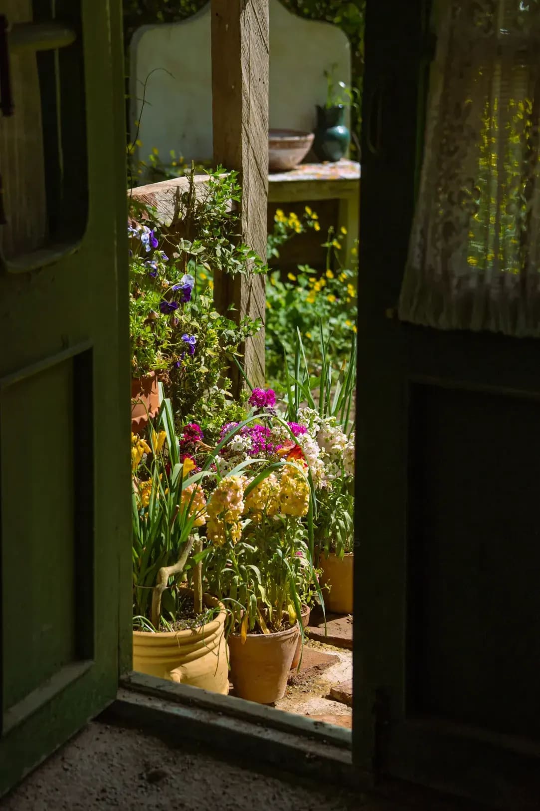 Maple Grove Gardens 11