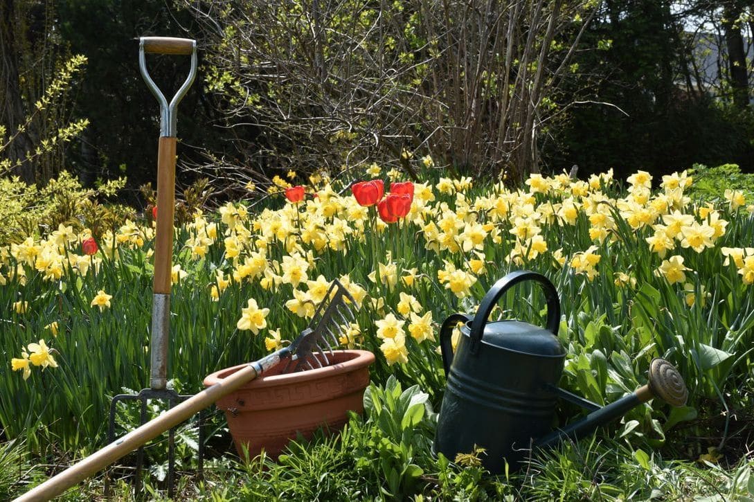 Mulching and soil enrichment