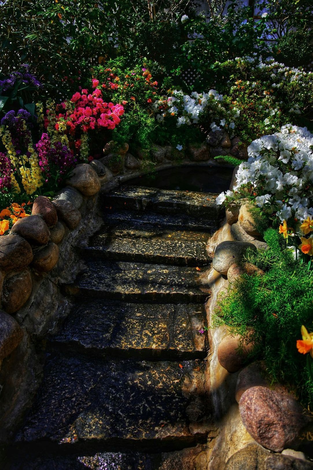 Spring and fall yard cleanup